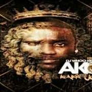 Il testo HURT SOMEBODY di AKON è presente anche nell'album The koncrete - mixtape (2012)