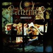 Il testo SLOWLY BEING POISONED dei GEHENNA è presente anche nell'album Admiron black (1998)