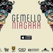 Il testo TESTA URAGANO di GEMELLO è presente anche nell'album Niagara (2014)