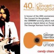 Il testo BLOWIN' IN THE WIND di GEORGE HARRISON è presente anche nell'album The concert for bangla desh (1972)