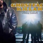 Il testo UNDERWATER di GHOSTFACE KILLAH è presente anche nell'album Fishscale (2006)