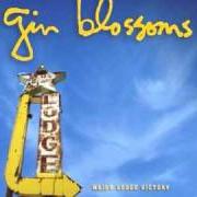 Il testo COME ON HARD dei GIN BLOSSOMS è presente anche nell'album Major lodge victory (2006)