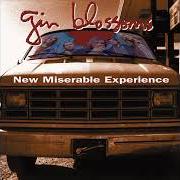 Il testo MY CAR dei GIN BLOSSOMS è presente anche nell'album Congratulations i'm sorry (1996)