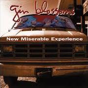 Il testo NOT ONLY NUMB dei GIN BLOSSOMS è presente anche nell'album Congratulations i'm sorry (1996)