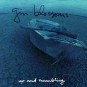 Il testo KELI RICHARDS dei GIN BLOSSOMS è presente anche nell'album Up and crumbling [ep] (1991)