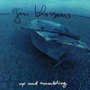 Il testo MRS. RITA dei GIN BLOSSOMS è presente anche nell'album Up and crumbling [ep] (1991)