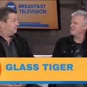 Il testo THIN RED LINE dei GLASS TIGER è presente anche nell'album 31 (2018)