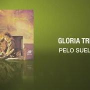 Il testo ZAPATOS VIEJOS di GLORIA TREVI è presente anche nell'album Rock milenium (1999)