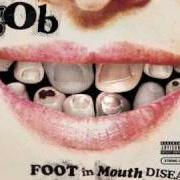 Il testo WHEN LIFE GETS BORING dei GOB è presente anche nell'album Foot in mouth disease (2003)