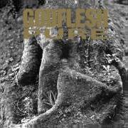 Il testo SPITE dei GODFLESH è presente anche nell'album Pure (1992)