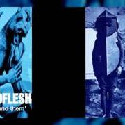 Il testo WITCHUNT dei GODFLESH è presente anche nell'album Us and them (1999)