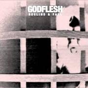 Il testo PLAYING WITH FIRE dei GODFLESH è presente anche nell'album Decline & fall (2014)