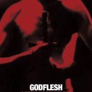 Il testo TOWERS OF EMPTINESS dei GODFLESH è presente anche nell'album A world lit only by fire (2014)