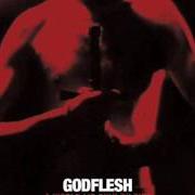 Il testo LIFE GIVER LIFE TAKER dei GODFLESH è presente anche nell'album A world lit only by fire (2014)