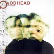 Il testo ROTTEN dei GODHEAD è presente anche nell'album Evolver (2003)
