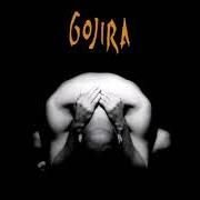 Il testo FIRE IS EVERYTHING dei GOJIRA è presente anche nell'album Terra incognita (2001)