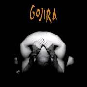 Il testo 19910 QUADRILLIONS DE TONNES dei GOJIRA è presente anche nell'album Terra incognita (2001)