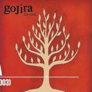 Il testo TORII dei GOJIRA è presente anche nell'album The link (2003)