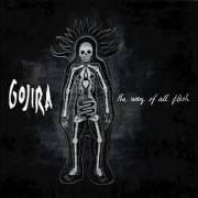 Il testo WOLF DOWN THE EARTH dei GOJIRA è presente anche nell'album The way of all flesh (2008)