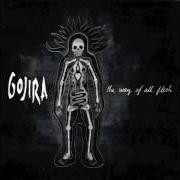 Il testo TOXIC GARBAGE ISLAND dei GOJIRA è presente anche nell'album The way of all flesh (2008)