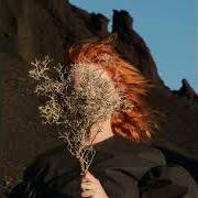 Il testo OCEAN di GOLDFRAPP è presente anche nell'album Silver eye (2017)