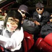 One monkey don't stop no show