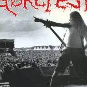 Il testo EINDHOVEN ROAR dei GOREFEST è presente anche nell'album The eindhoven insanity (1993)