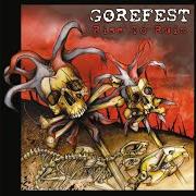 Il testo THE WAR ON STUPIDITY dei GOREFEST è presente anche nell'album Rise to ruin (2007)
