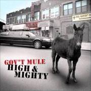 Il testo CHILD OF THE EARTH dei GOV'T MULE è presente anche nell'album High & mighty (2006)