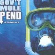 Il testo GAME FACE dei GOV'T MULE è presente anche nell'album Deepest end - disc 1 (2003)