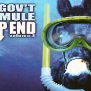 Il testo CATFISH BLUES dei GOV'T MULE è presente anche nell'album Deep end vol. 2 (2002)