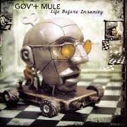 Il testo WORLD GONE WILD dei GOV'T MULE è presente anche nell'album Life before insanity (2001)