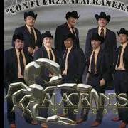 Il testo LA HUMMER DEL AÑO degli ALACRANES MUSICAL è presente anche nell'album Por siempre (2010)