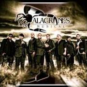 Il testo AGUSTIN JAIME degli ALACRANES MUSICAL è presente anche nell'album Puros corridos venenosos (2006)