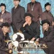 Il testo EL SAUCE Y LA PALMA degli ALACRANES MUSICAL è presente anche nell'album Nuestra historia y algo más (2005)