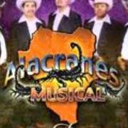 Il testo FAMOSOS DURANGO degli ALACRANES MUSICAL è presente anche nell'album Famoso durango (2004)