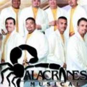 Il testo LOS CALZONES degli ALACRANES MUSICAL è presente anche nell'album Furia alacranera (2003)