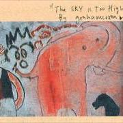 Il testo THAT'S ALL I WANNA DO di GRAHAM COXON è presente anche nell'album The sky is too high (1998)