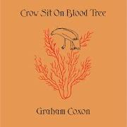 Il testo YOU NEVER WILL BE di GRAHAM COXON è presente anche nell'album Crow sit on blood tree (2001)