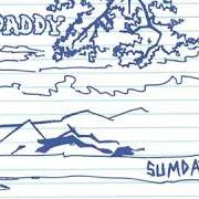 Il testo THE WARMING SUN dei GRANDADDY è presente anche nell'album Sumday (2003)