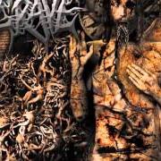 Il testo BREEDER dei GRAVE è presente anche nell'album Fiendish regression (2004)