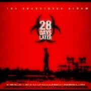 Il testo DO OUR PART di 28 DAYS è presente anche nell'album 28 days (1998)