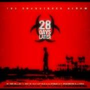 Il testo THIS SONGS ABOUT YOU di 28 DAYS è presente anche nell'album 28 days (1998)