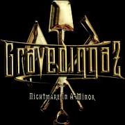 Il testo ZIG ZAG CHAMBER di GRAVEDIGGAZ è presente anche nell'album Nightmare in a-minor (2002)