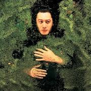 Il testo 2043 di ALAIN BASHUNG è presente anche nell'album Fantaisie militaire (1998)