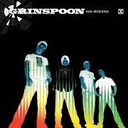 Il testo CHEMICAL HEART dei GRINSPOON è presente anche nell'album New detention (2002)