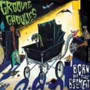 Il testo BORN IN THE BASEMENT dei GROOVIE GHOULIES è presente anche nell'album Born in the basement (1996)