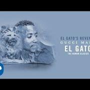 Il testo DICKRIDERS di GUCCI MANE è presente anche nell'album El gato the human glacier (2017)