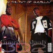 In the mist of guerillas