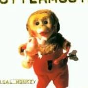 Il testo GOLD dei GUTTERMOUTH è presente anche nell'album Musical monkey (1997)